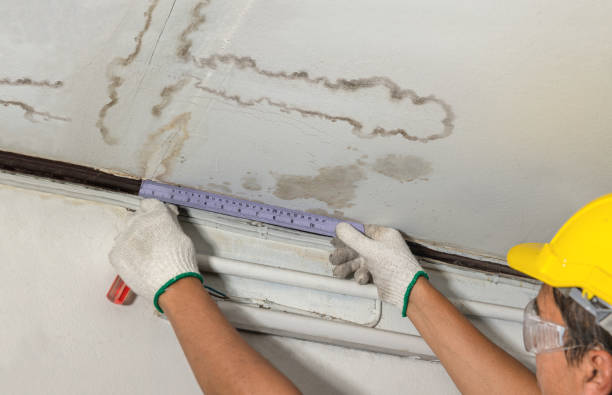 Reliable Flood Cleanup contractor in Plainfield, NJ by Water Damage Irwin